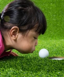 Mini Golf