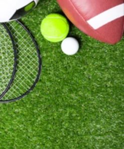 Sport (Inde og ude)